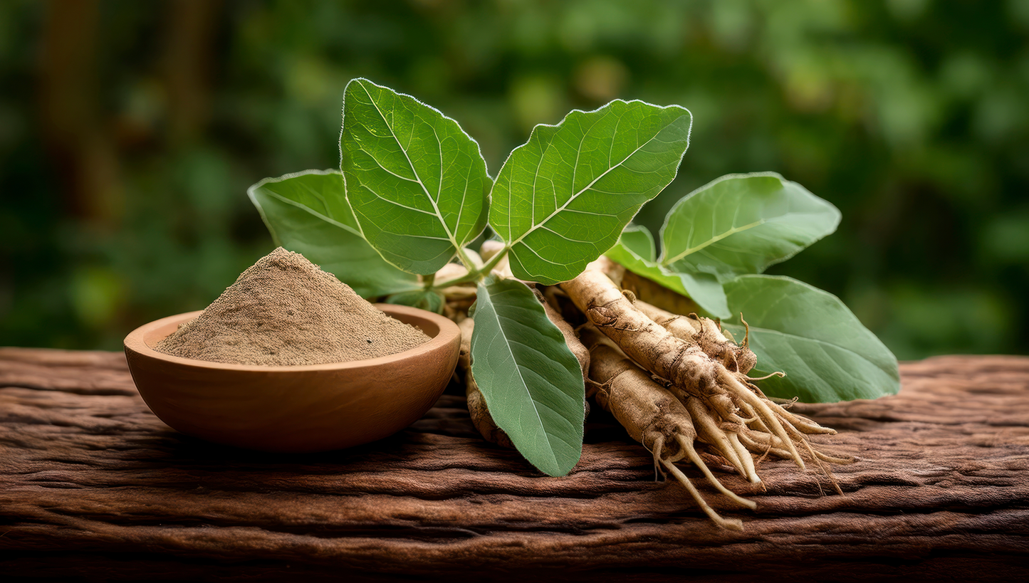 raÃz y hoja de ashwagandha