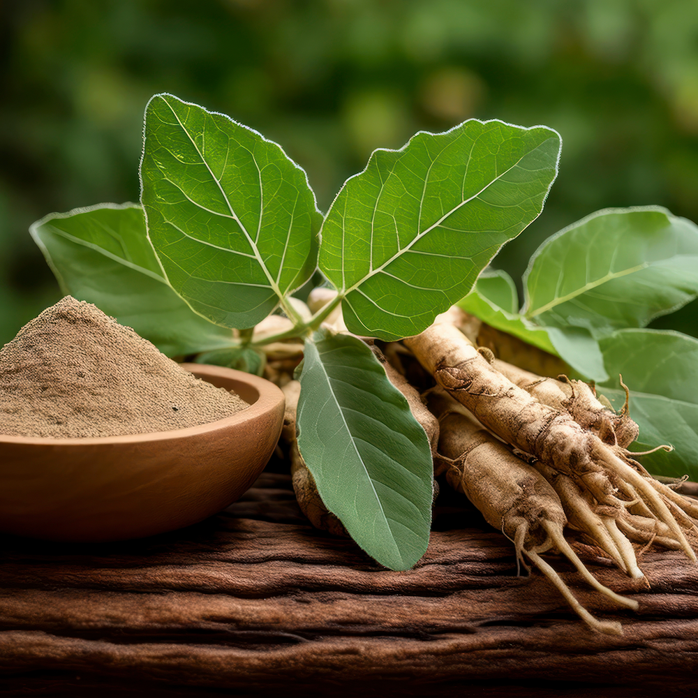 raíz y hoja de ashwagandha 